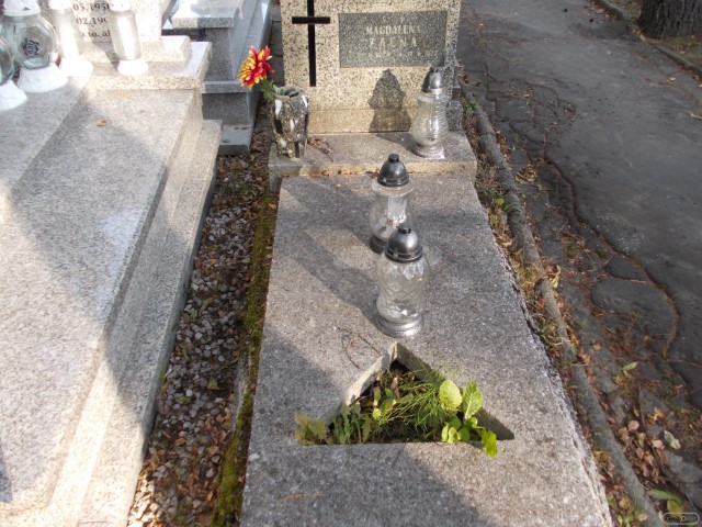 Grób MAGDALENA ZACNA