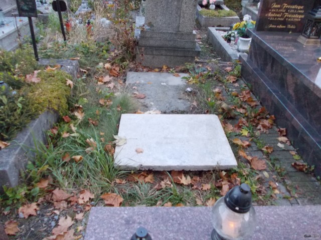 Grób WŁADYSŁAWA ZAJĄC