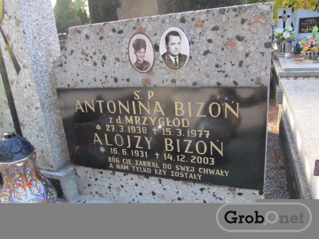 Alojzy BIZOŃ 1931 Andrychów - Grobonet - Wyszukiwarka osób pochowanych
