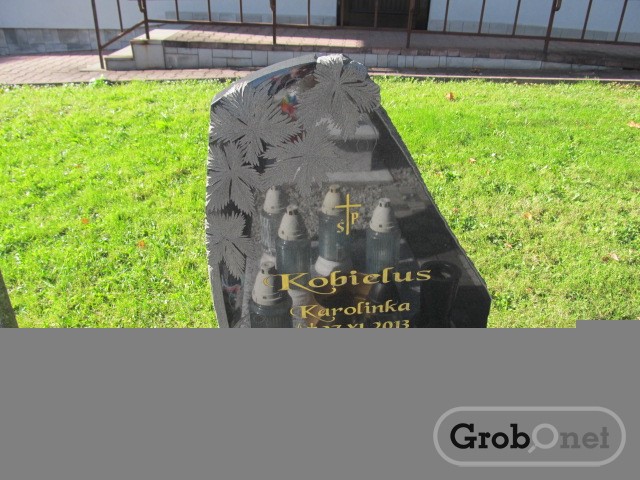 Lena KOBIELUS 2014 Andrychów - Grobonet - Wyszukiwarka osób pochowanych