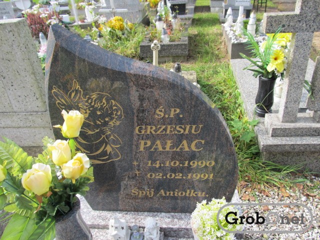 Grzegorz PAŁAC 1990 Andrychów - Grobonet - Wyszukiwarka osób pochowanych
