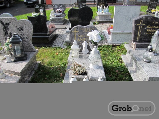 Grób MIŁOSZ ANTECKI